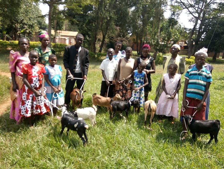 Households in a Jinja District village standing together with goats received through a Kiyunga Social Service Centre livelihood support activity.