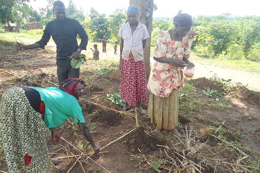 Community members preparing ground and planting seedlings during a Kiyunga Social Service Centre environmental conservation activity.